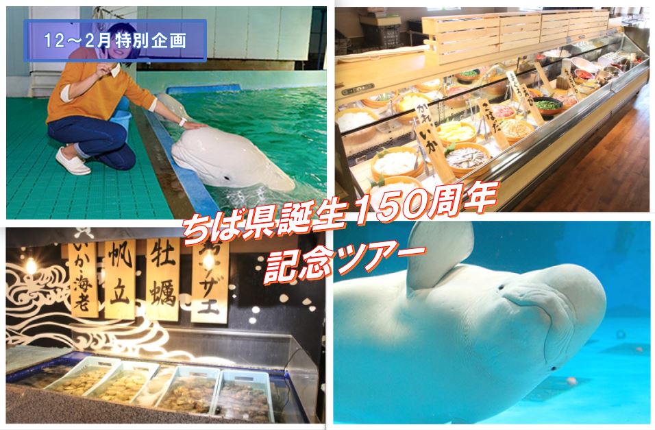 全国旅行支援プラン【新宿発☆特別企画】白イルカの「ベルーガ」に 