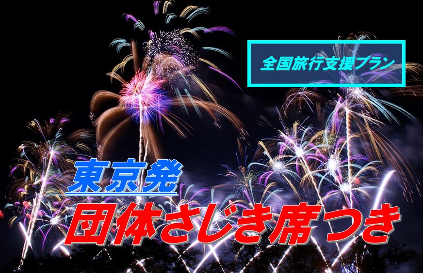 購入 第91回 土浦全国花火競技大会 桟敷席