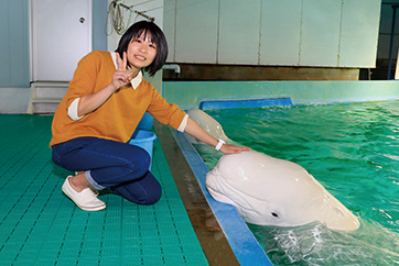 全国旅行支援プラン【新宿発☆特別企画】白イルカの「ベルーガ」に 