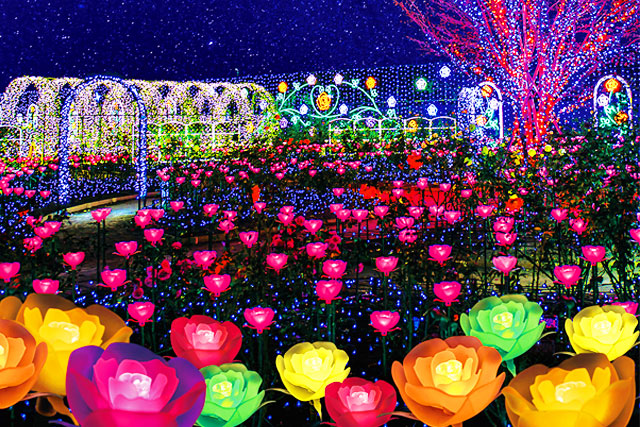 あしかがフラワーパーク