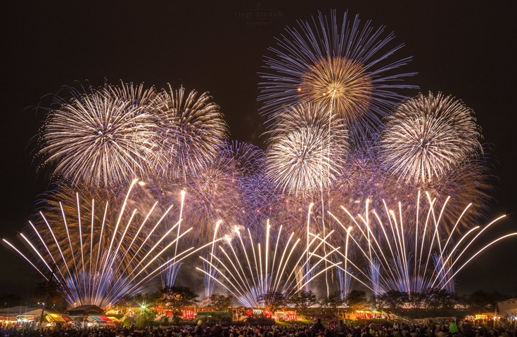 【美品】コールハーン タッセルローファー レザー 9D 26.5cm 一番くじ ドラゴンボール ザ・グレイテストサイヤン A賞 超