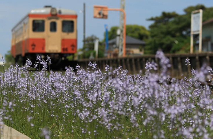 ひたちなか海浜鉄道